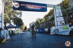 Est! Est!! Est!!! - 2026 - Arrivo