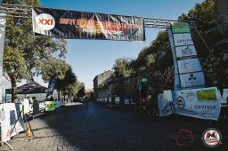 Est! Est!! Est!!! - 2026 - Arrivo