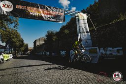 Est! Est!! Est!!! - 2026 - Arrivo