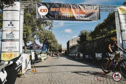 Est! Est!! Est!!! - 2026 - Arrivo