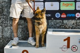 Est! Est!! Est!!! - 2026 - Premiazioni