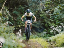 Gara